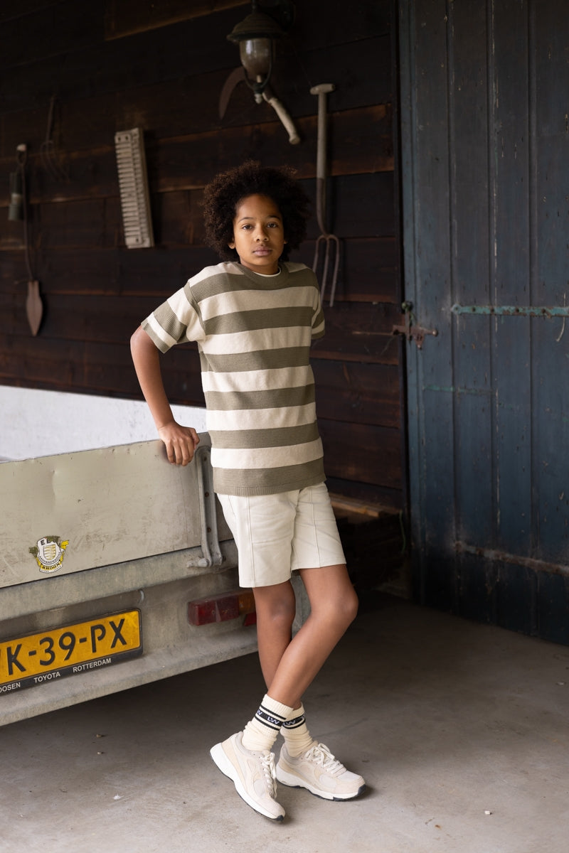 Shirt Groen | AOP Green Stripe