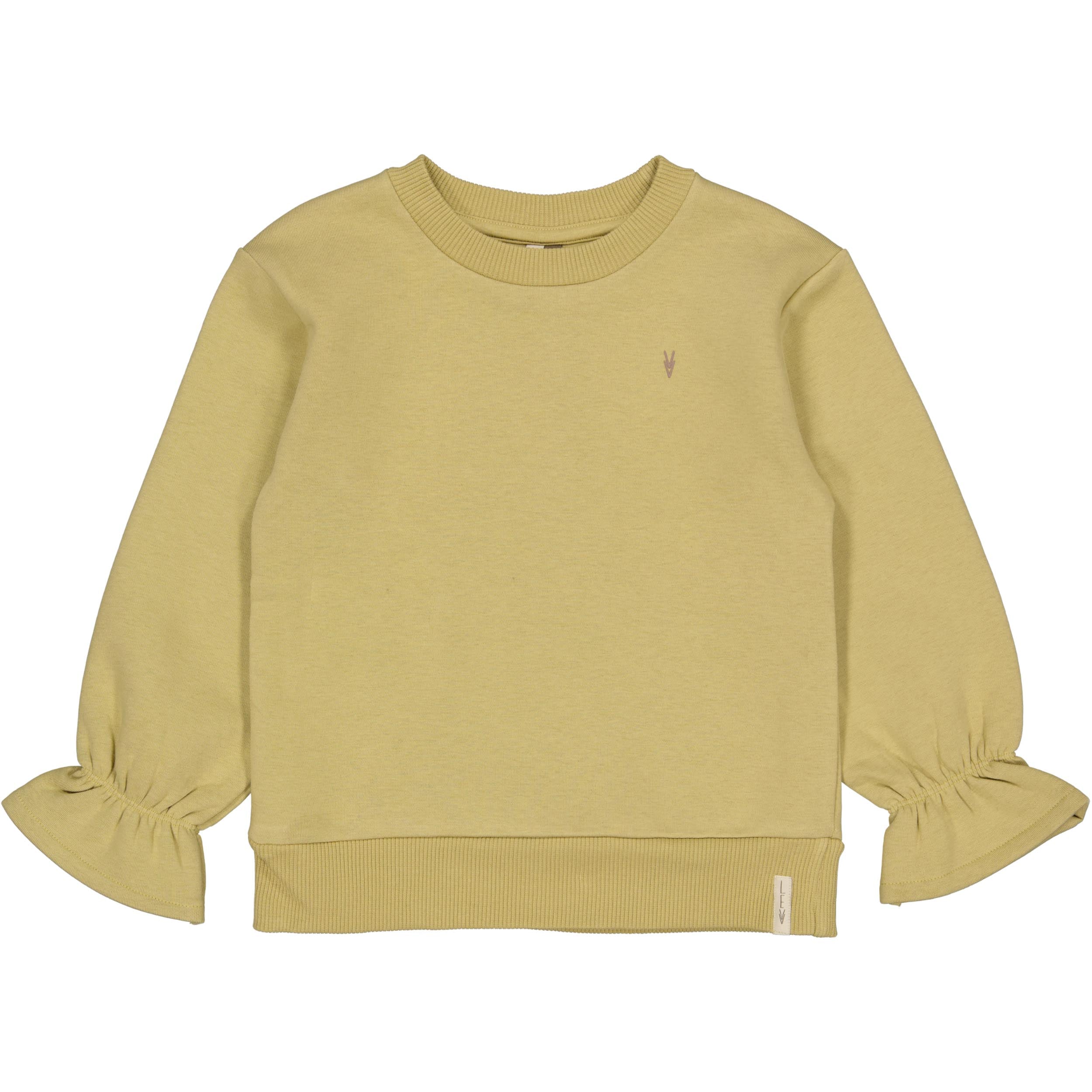 Lichtgroene sweater met rugprint | Light Green