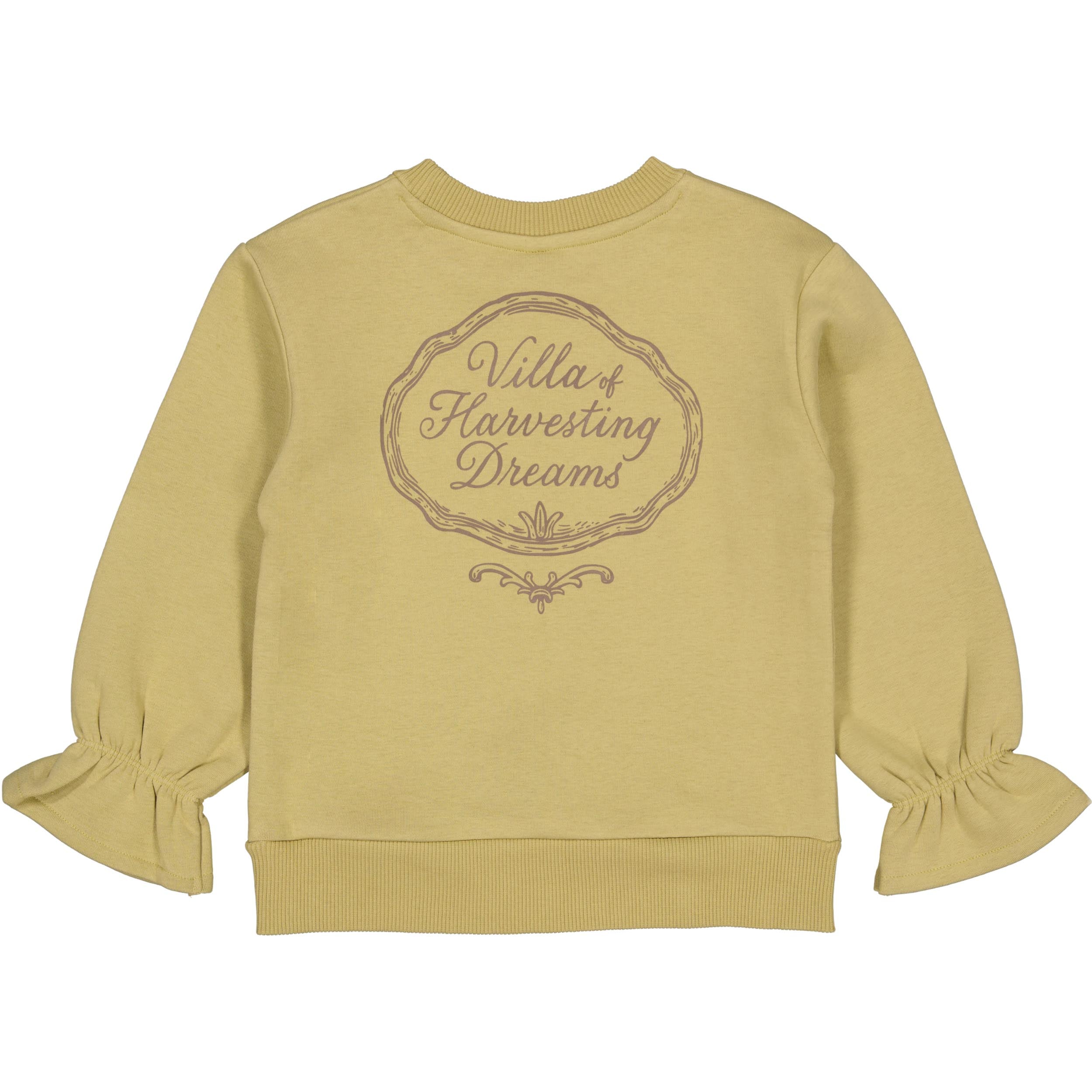 Lichtgroene sweater met rugprint | Light Green