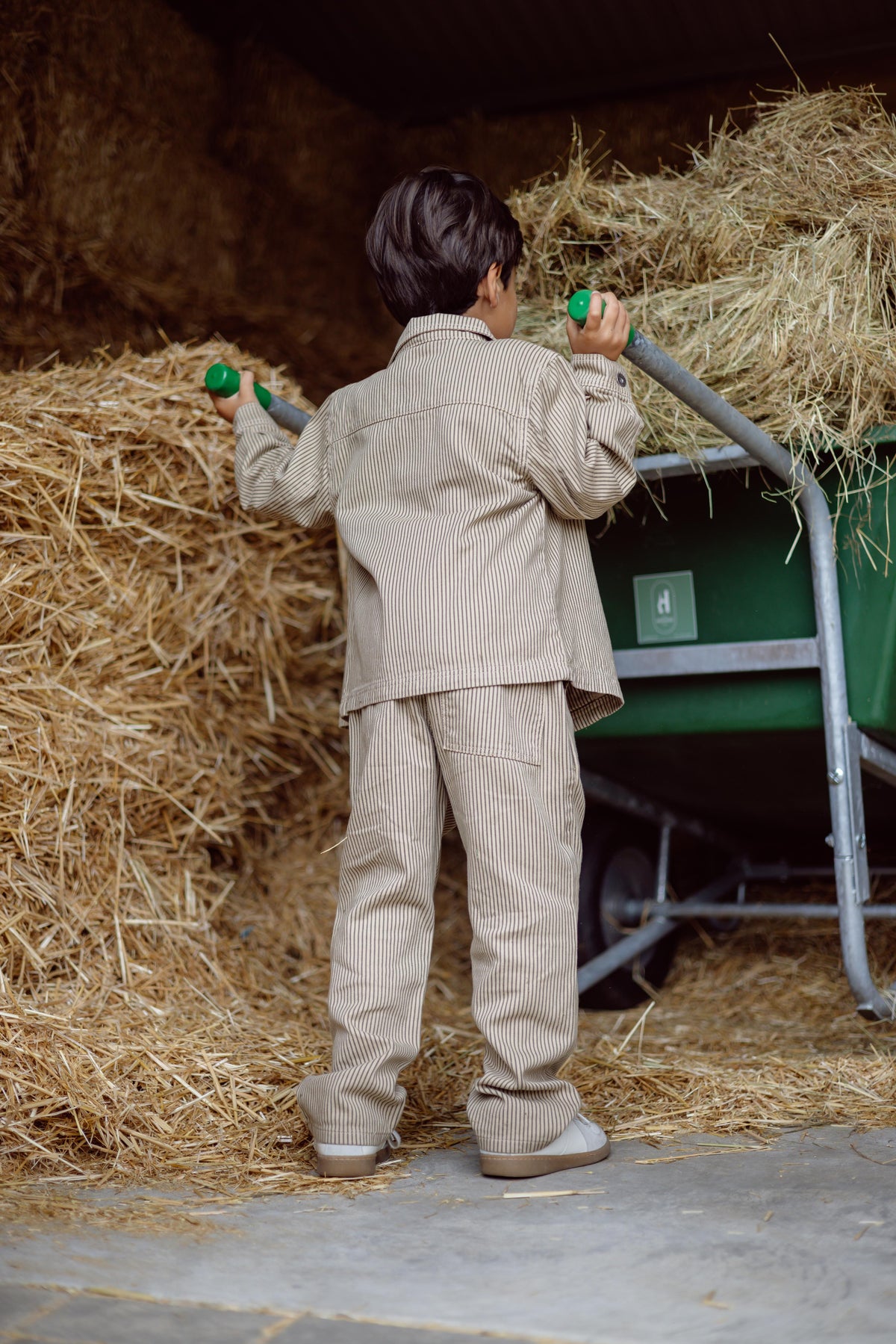 Beige gestreepte broek met koord | AOP Dark Green Stripe