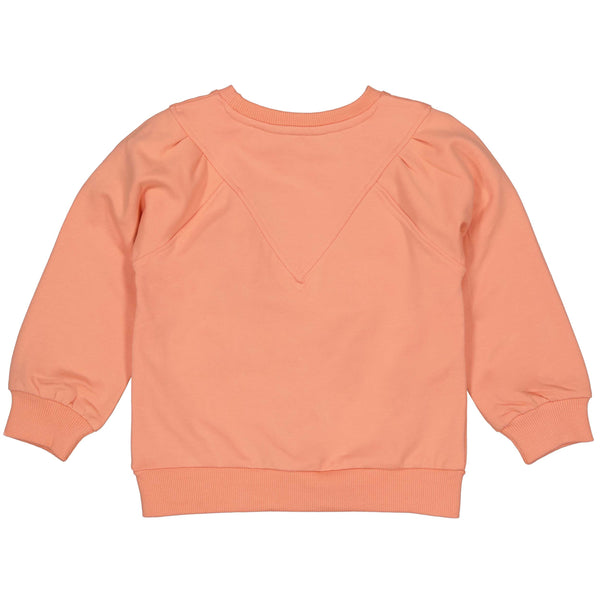 SWEATERS | Coral